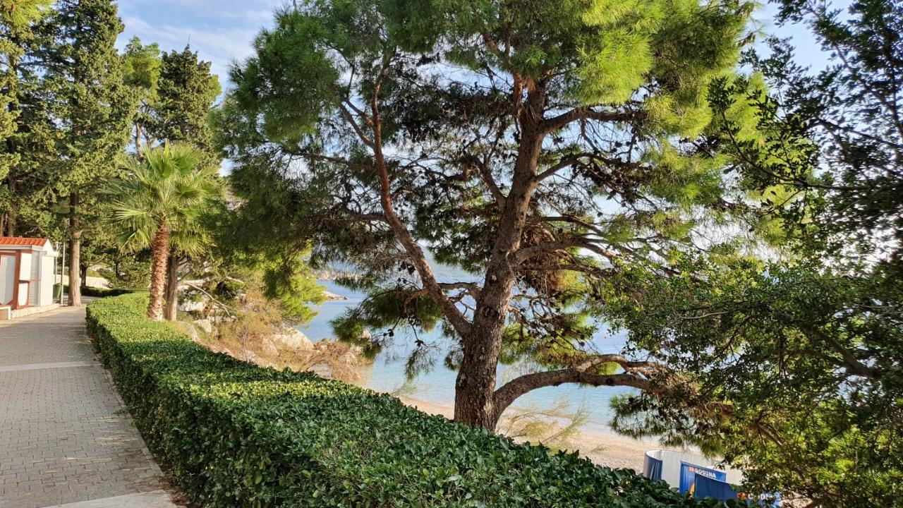 Apartments Kligge Mlini Εξωτερικό φωτογραφία